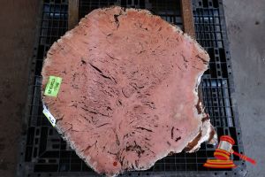 54 · JARRAH BURL SLICE, LIVE EDGE, L860mm x W840mm x 800mm x 870mm x 440mm x DEPTH 45/50mm, APPROX