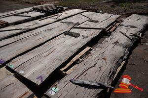 11 · LIVE EDGE MARRI SLAB, 5.3 x 860/1000 x 75