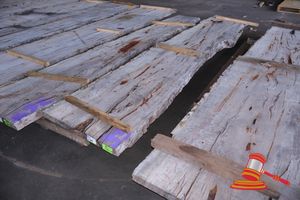 41 · LIVE EDGE MARRI SLAB, SOME CURL, 4.3 x 700/900 x 60