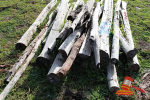 359 · BUNDLE OF 25 X JARRAH FENCE POSTS LOGS, 2.0M LONG, 150mm DIAMETER