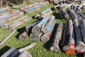194 · BUNDLE OF 6 X JARRAH STRAINER POST LOGS, 2.2 M LONG, ALL 250mm DIAMETER