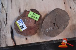 JARRAH SLICE/COOKIE, L270/300mm x W200/210mm x D20/25 x QTY 2, APPROX SIZES