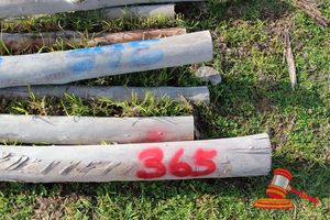 365 · BUNDLE OF 10 X JARRAH FENCE RAILS LOGS, 3.0M LONG, 125mm DIAMETER