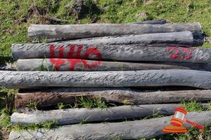 440 · BUNDLE OF 25 X JARRAH FENCE POSTS LOGS - 2.0 M LONG, 75 - 100 mm DIAMETER