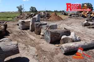 111 · FWL203-FIREWOOD LOGS Dry Firewood Logs x 9