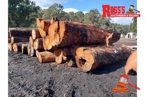 2 · 17 x EUCALYPTUS MARGINATA JARRAH LOGS, APPROX DIMENSIONS: 3.9-5.2m/700-1200mm, APPROX WEIGHT: 49.8 TONNES - NOTE: DOMESTIC PROCESSING REQUIRED