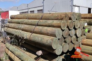 12 · Approx 25 x 2.4m x 150-175 Pine strainers.