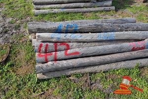 412 · BUNDLE OF 25 X JARRAH FENCE POSTS LOGS - 2.0 M LONG, 125mm DIAMETER