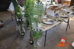 Monstera Tree 160cm