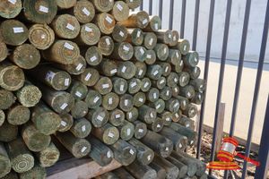 19 · 70 x 1.8M x 85-100 PINE POSTS