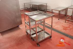 36 · 2 X LIGHTWEIGHT STAINLESS STEEL TROLLEYS. APPROX 750 X 400 X H900MM. SOME WHEELS U/S