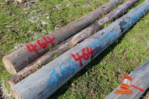 464 · BUNDLE OF 3 X JARRAH SHED POLES LOGS - 1 @ 8.1, 1 @ 7.6, 2 @ 7.9 M LONG, 325 - 350mm DIAMETER