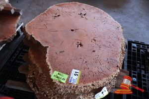 JARRAH BURL SLICE, LIVE EDGE, L1050mm x W900mm x 800mm x 870mm x 440mm x DEPTH 45/50mm, APPROX