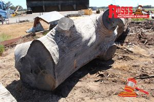 ALL215- MILL LOGS 1100-1300mm (Diameter) x 3.6m Tuart Mill Log