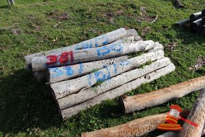 381 · BUNDLE OF 16 X JARRAH FENCE POSTS LOGS, 1.5 M LONG, 150 mm DIAMETER