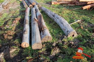 251 · BUNDLE OF 4 X JARRAH LOGS,4.6 M LONG, ALL 350mm DIAMETER