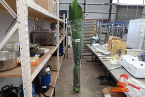 176 · 1 X ARTIFICIAL BIRD OF PARADISE PLANT, GREEN FOLIAGE, APPROX 2M
