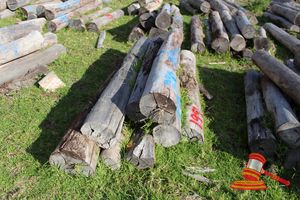 199 · BUNDLE OF 8 X JARRAH STRAINER POST LOGS, 1.9 - 2.2 M LONG, ALL 250mm DIAMETER