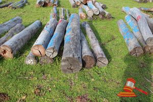 334 · BUNDLE OF 8 X JARRAH STRAINER POST LOGS,2 @ 1.8, 3 @ 2.0, 2 @ 2.2M LONG, 250 - 350mm DIAMETER