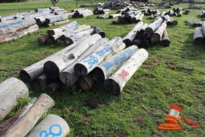 308 · BUNDLE OF 10 X JARRAH STRAINER POST LOGS, 2 @ 1.8, 250mm DIAMETER 5 @ 2.0, 2 @ 2.2, 1 @ 2.5M LONG, 350mm DIAMETER