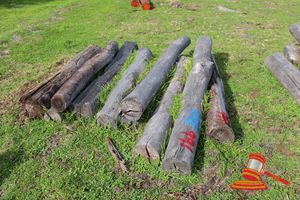 BUNDLE OF 10 X JARRAH STRAINER POST LOGS, 1.8 - 2.4 M LONG, 200mm DIAMETER