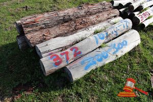 372 · BUNDLE OF 10 X JARRAH STRAINER POST LOGS, 1.4 - 1.8M LONG, 200 - 300mm DIAMETER