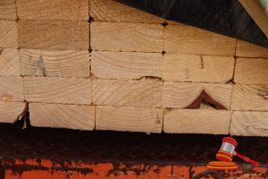 227 · 20x LENGTHS OF NON-STRUCTURAL, UNTREATED PINE TIMBER, APPROX 90 x 35mm x 3m