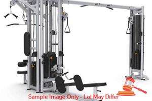 29 · MATRIX AURA MULTI STATION 5 - WAY CABLE CROSS OVER G3-MS50 (ASSET# 51)
