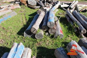 185 · BUNDLE OF 8 X JARRAH STRAINER POST LOGS, 2.0 M LONG, ALL 400mm DIAMETER