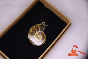 Ammonite Pendant
