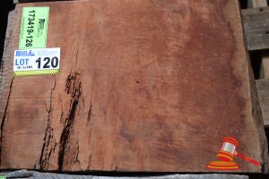 Jarrah Boards (Small) L500mm X W360/380mm X D 50mm, Approx