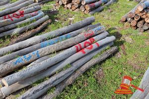 409 · BUNDLE OF 25 X JARRAH FENCE POSTS LOGS - 2.0 M LONG, 100 - 125mm DIAMETER