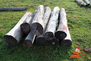 332 · BUNDLE OF 9 X JARRAH STRAINER POST LOGS, 2.0M LONG, ALL 300mm DIAMETER