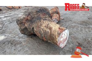 38 · 1 x EUCALYPTUS MARGINATA JARRAH BURL, APPROX WEIGHT: 1.18 TONNES - NOTE: DOMESTIC PROCESSING REQUIRED