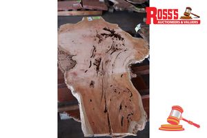 RIVERGUM SLAB LIVE EDGE, L1550mm x W350mm x 800mm x 870mm x 440mm x DEPTH 45mm, APPROX