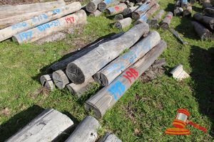 198 · BUNDLE OF 7 X JARRAH STRAINER POST LOGS, 1.7 - 2.4 M LONG, ALL 250mm DIAMETER