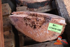 JARRAH SLICE - OFF CUT, L430mm x W200mm x D 250mm x QTY 1