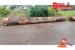 49 · 1 x CORYMBIA CALOPHYLLA MARRI LOG APPROX DIMENSIONS:9.2m/950mm APPROX WEIGHT: - 7.6 TONNES, NOTE: DOMESTIC PROCESSING REQUIRED