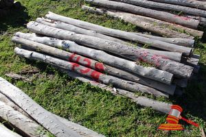 438 · BUNDLE OF 25 X JARRAH FENCE POSTS LOGS - 2.0 M LONG, 100mm DIAMETER