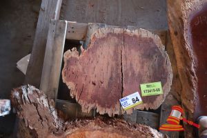 JARRAH BURL, L550mm x W420mm NOTE SPLIT N BURL x 40/50mm, APPROX