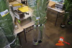 226 · MONSTERA TREE 160CM