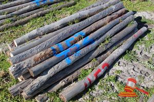 452 · BUNDLE OF 25 X JARRAH FENCE POSTS LOGS - 2.0 M LONG, 100mm DIAMETER