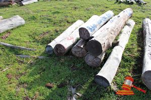 340 · BUNDLE OF 8 X JARRAH STRAINER POST LOGS,3 @ 1.8, 5 @ 2.4, 1 @ 3.0M LONG, 200 - 350mm DIAMETER