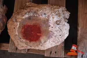Jarrah Burl/Cookie, L300/400mm X W250/270mm X D30/40 X Qty 2, Approx Sizes