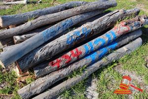 434 · BUNDLE OF 25 X JARRAH FENCE POSTS LOGS - 2.0 M LONG, 125 - 150mm DIAMETER