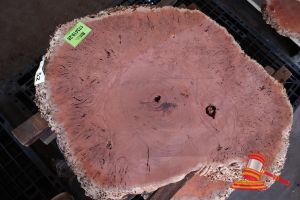 JARRAH BURL SLICE, LIVE EDGE, L1000mm x W840mm x 800mm x 870mm x 440mm x DEPTH 45/50mm, APPROX