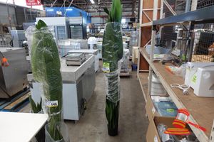 148 · ARTIFICIAL BANANA TREE 220CM