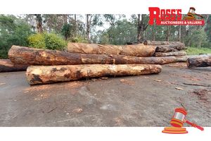 50 · 7 x CORYMBIA CALOPHYLLA MARRI LOGS APPROX DIMENSIONS:3.6-9m/500-800mm APPROX WEIGHT: - 24 TONNES, NOTE: DOMESTIC PROCESSING REQUIRED