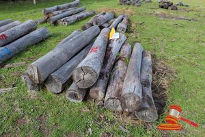 172 · 10 x STRAINER POST JARRAH LOGS, 2.1 - 2.4 M LONG, 250mm DIAMETER