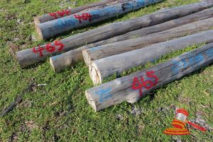 465 · BUNDLE OF 5 X JARRAH SHED POLES LOGS - 1 @ 7.2, 1 @ 6.8, 1 @ 7.3, 1 @ 6.9, 1 @ 8.1 M LONG, 325 - 350mm DIAMETER